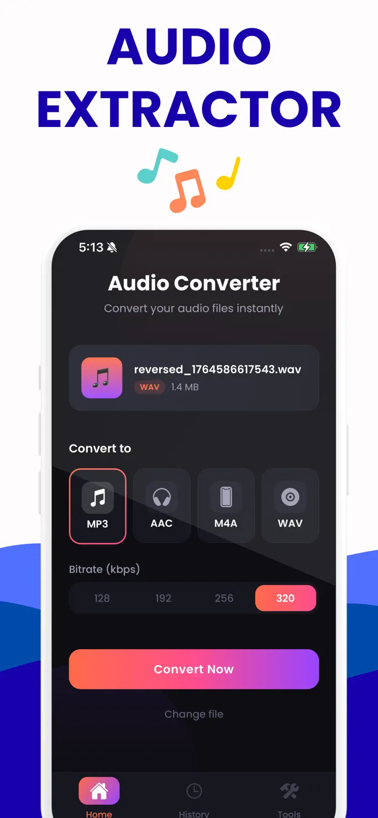 Audio Converter - m4a to mp3 main tools and options on iPhone