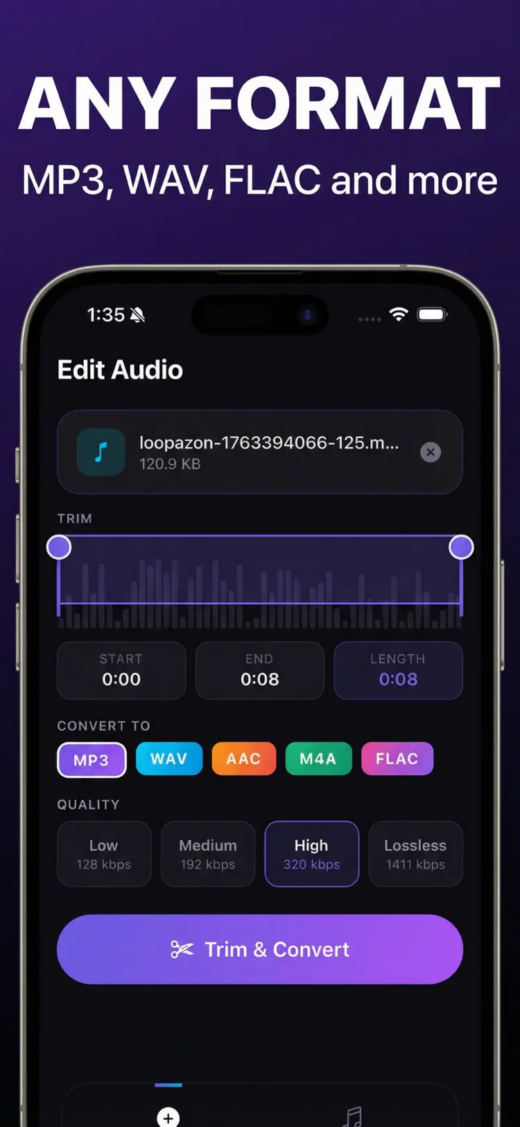 Audio Extractor: MP3 Converter main tools and options on iPhone