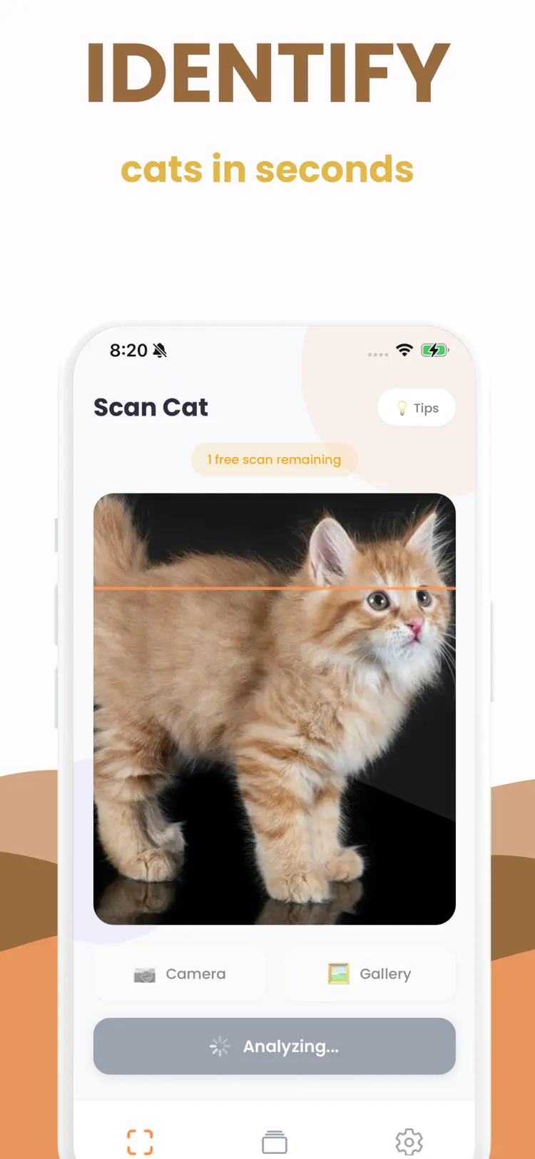 Cat Breed Identifier: Scanner main tools and options on iPhone