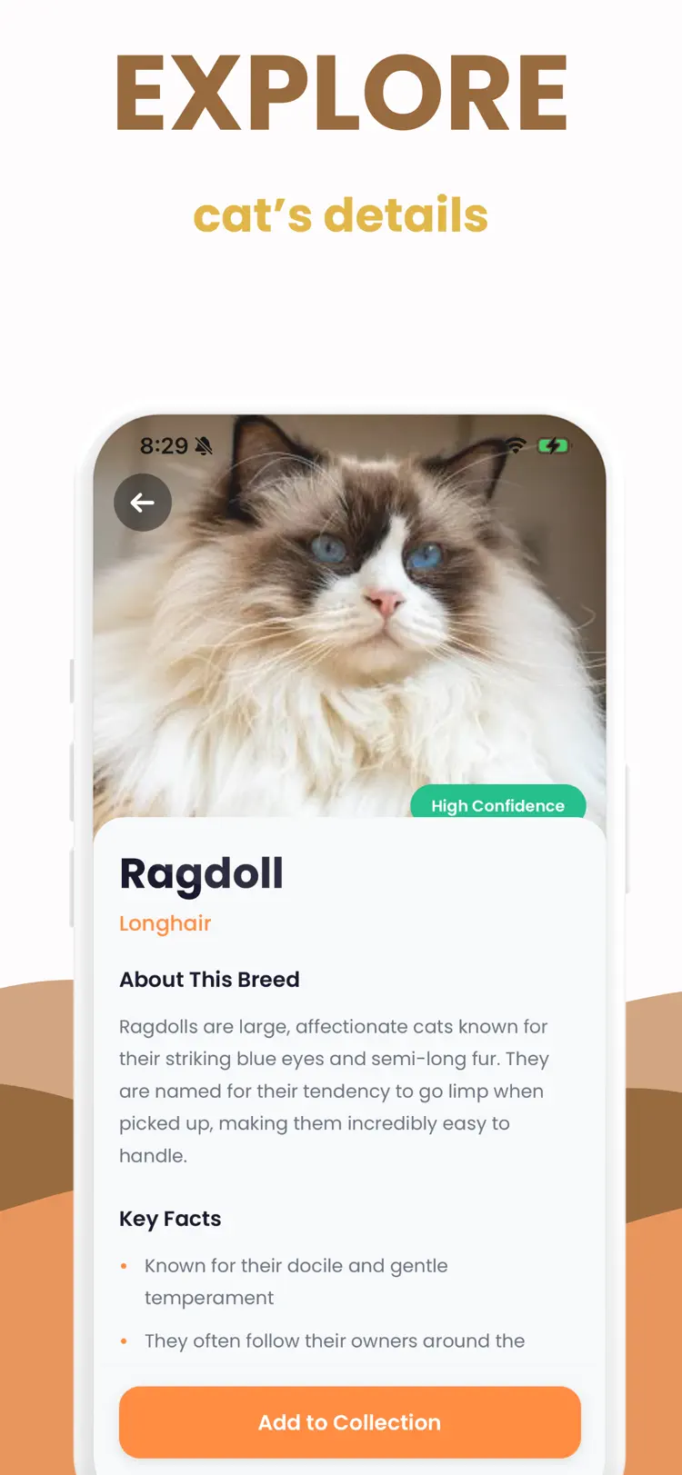 Cat Breed Identifier: Scanner workflow and result preview