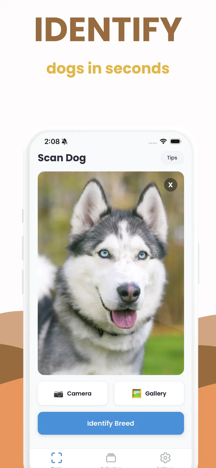 Dog Breed Identifier - Scanner main tools and options on iPhone