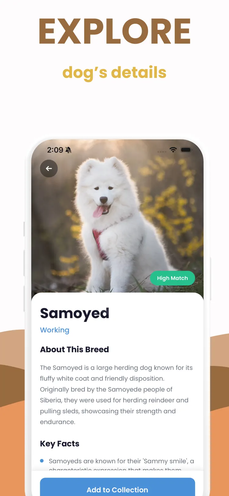 Dog Breed Identifier - Scanner workflow and result preview