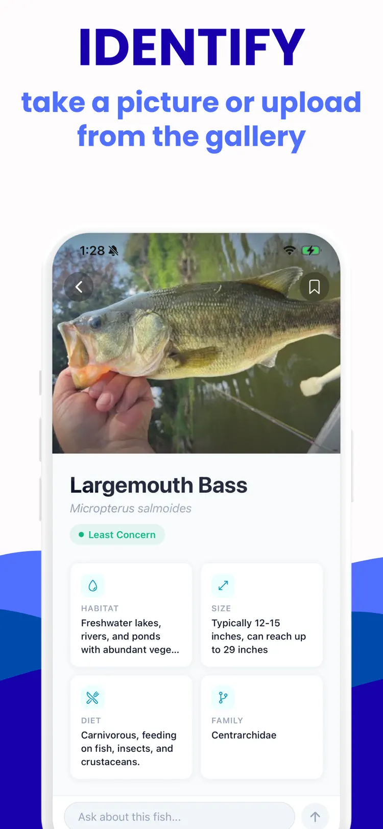 Fish Identifier - Picture Fish main tools and options on iPhone