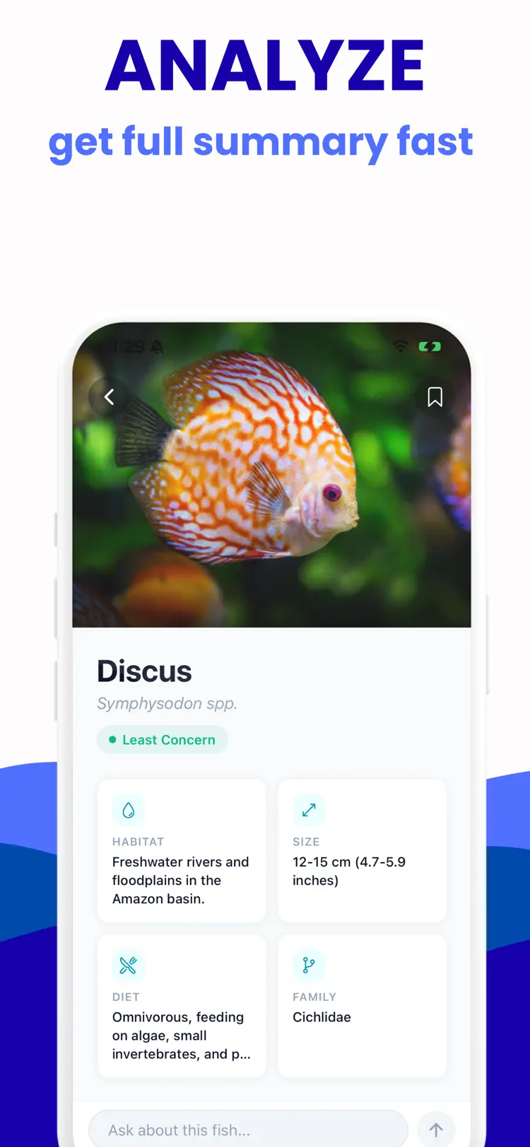 Fish Identifier - Picture Fish workflow and result preview