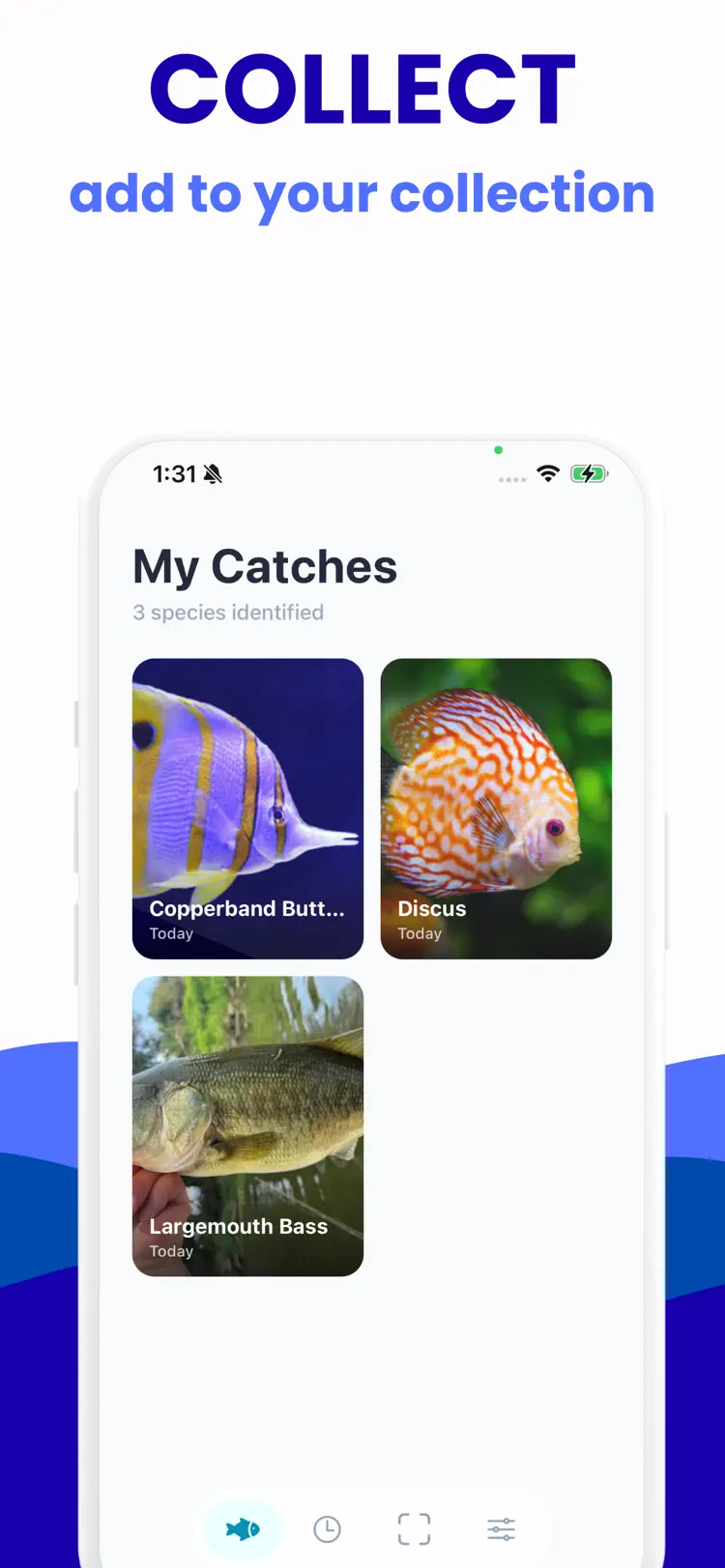 Fish Identifier - Picture Fish settings and feature screen