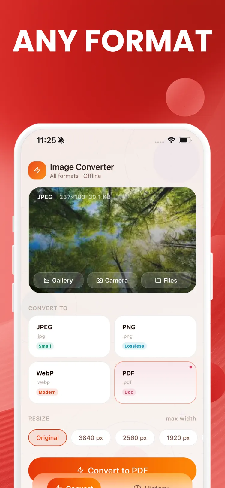 Image Converter: JPEG HEIC PDF workflow and result preview
