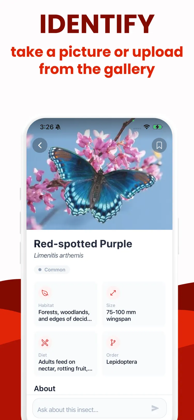 Insect Identifier · Bug ID main tools and options on iPhone