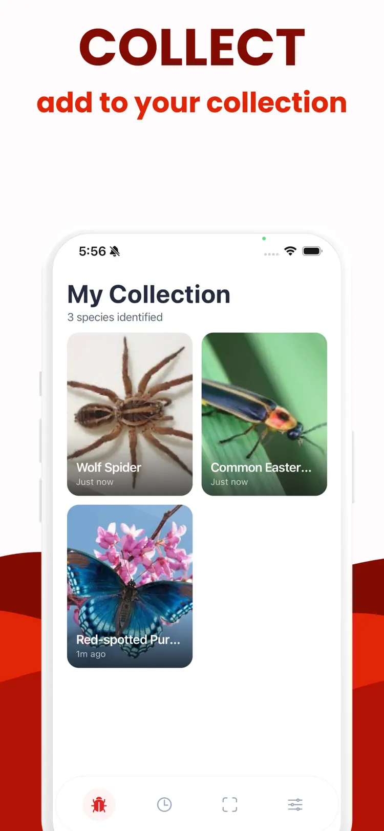 Insect Identifier · Bug ID settings and feature screen