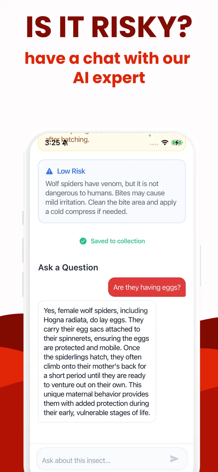 Insect Identifier · Bug ID saved results and sharing options