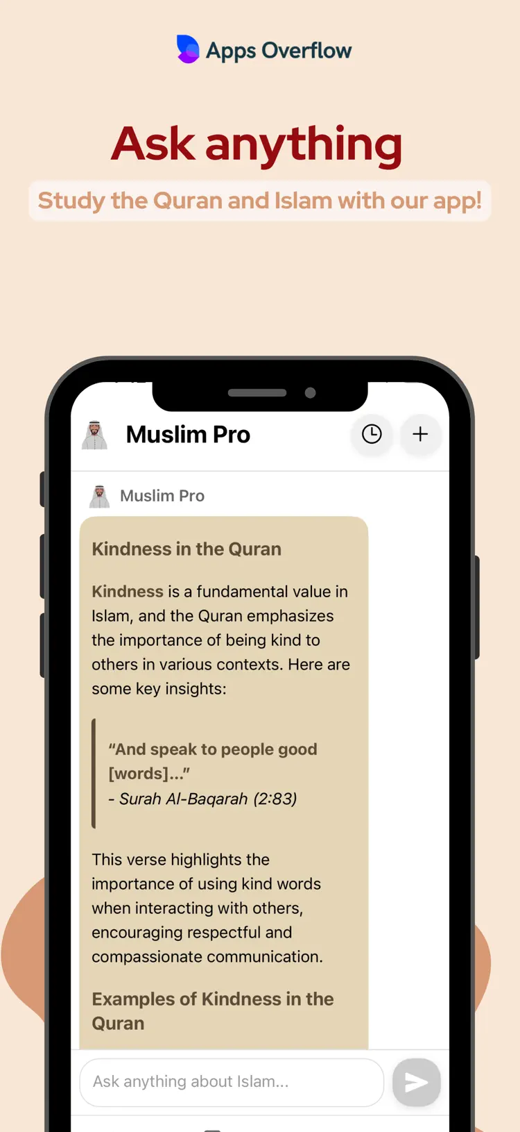 Muslim Pro: Quran, Prayer&Dua settings and feature screen