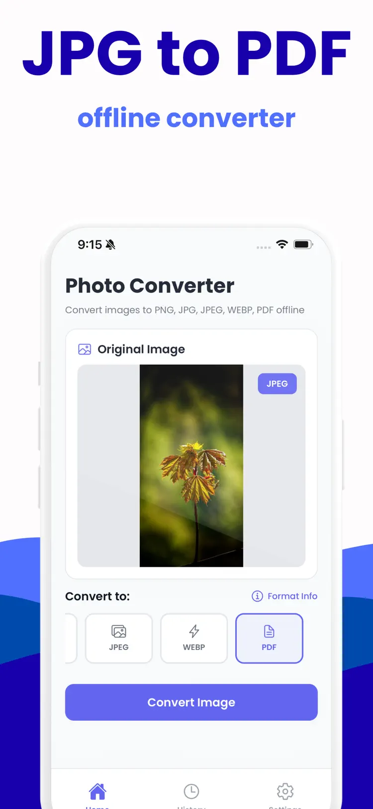 Photo Converter: HEIC to JPG saved results and sharing options