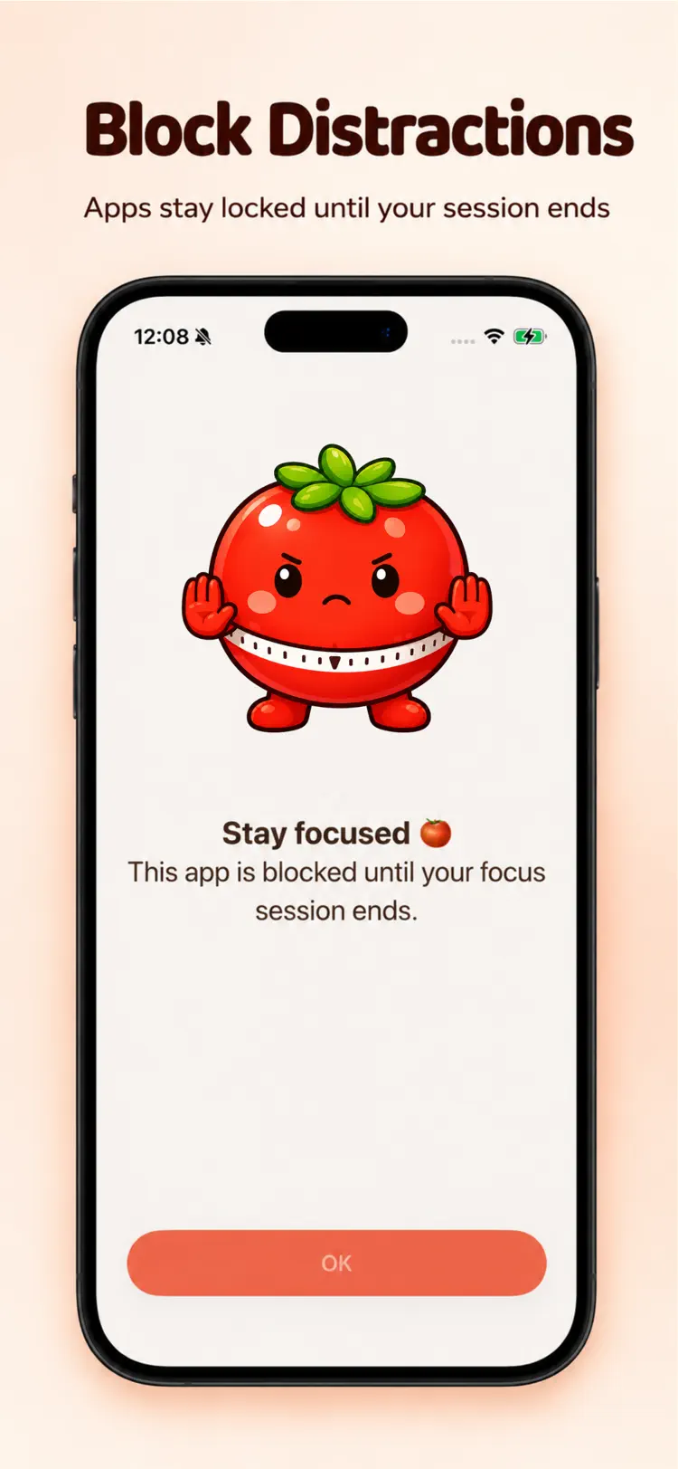Pomodoro Timer: ADHD Organizer main tools and options on iPhone