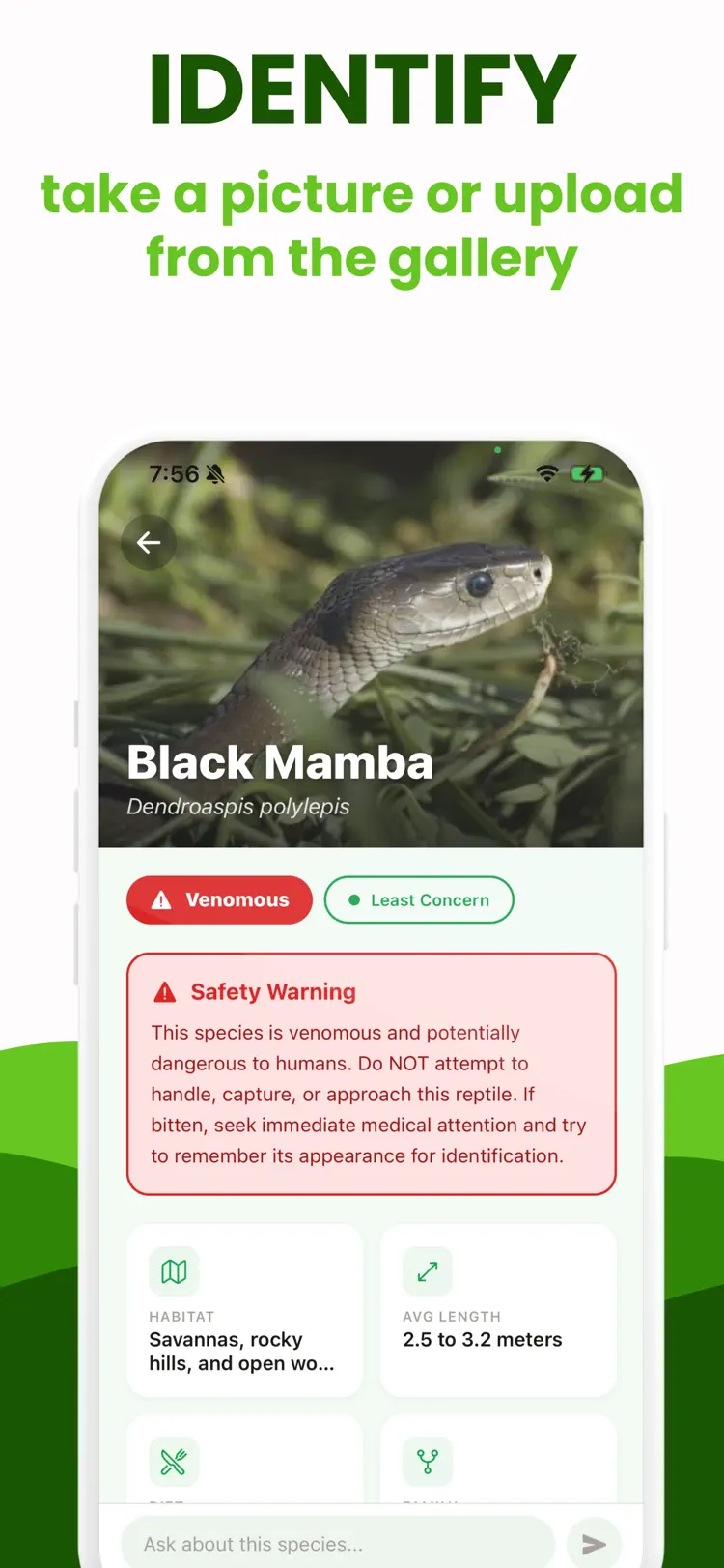 Snake Identifier + Reptile ID main tools and options on iPhone