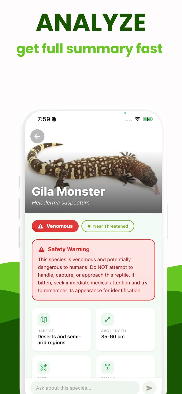 Snake Identifier + Reptile ID workflow and result preview