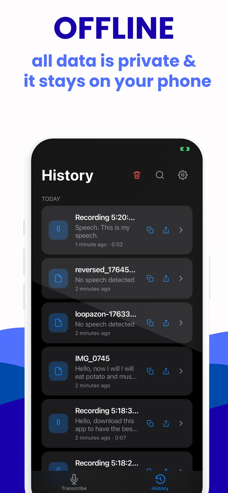 Video Transcriber: Audio Voice settings and feature screen